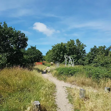 With Near Sea And Forest, Cleaning Included Ferienhaus Groet